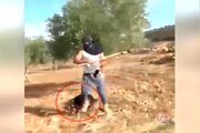 Yaşlı Fələstinli kəndliyə zeytun yığarkən yəhudilərin amansız hücum \ Video