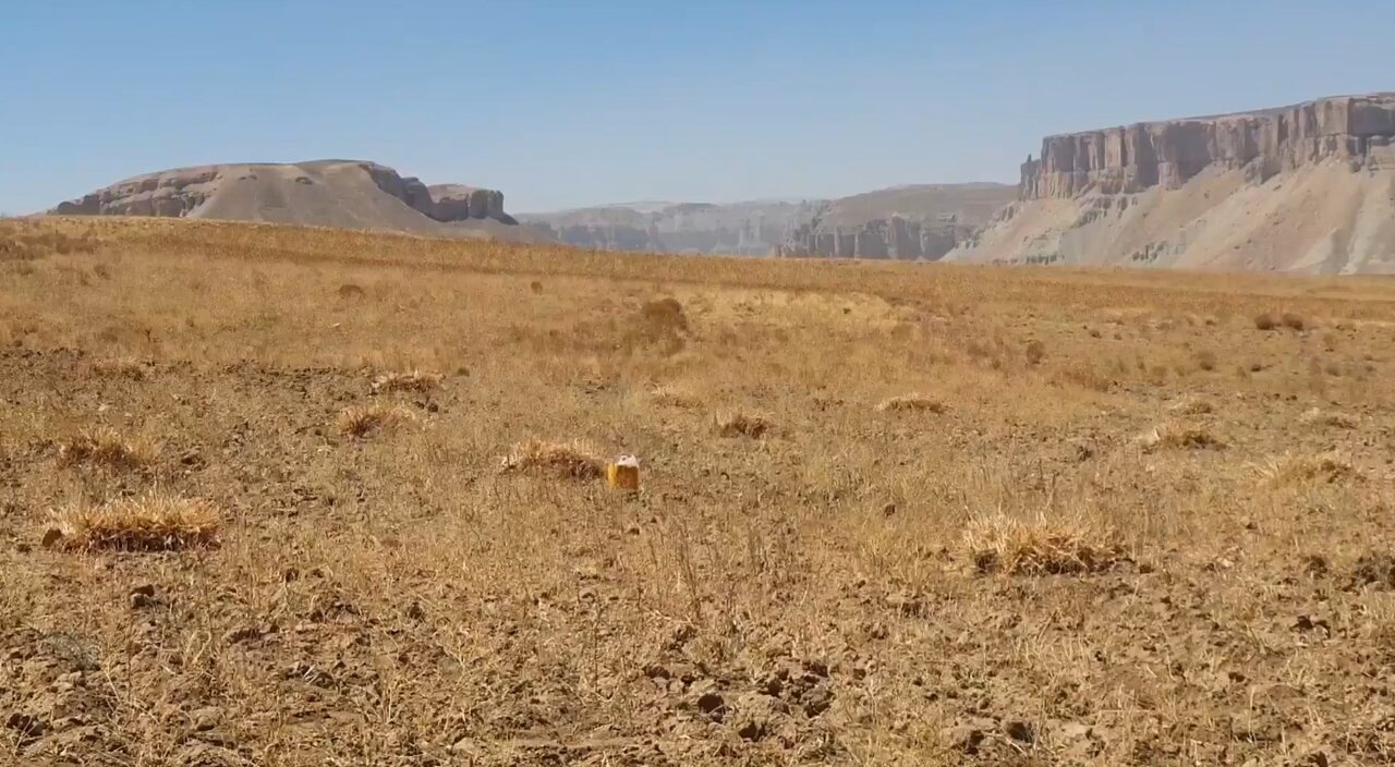ویدیو | خشکسالی شدید در بامیان افغانستان کشاورزان را متضرر و خانواده‌ها را نیازمند کرده است
