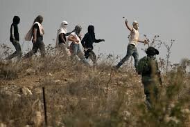 Brutal na Pag-atake sa Matandang Palestina sa Gitna ng kanialng Olive Harvest Area