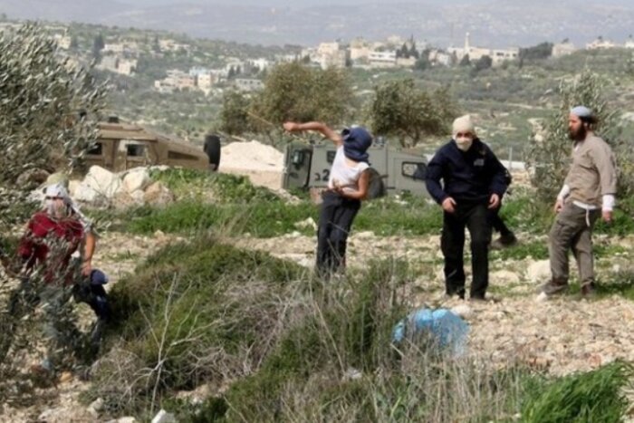 ۷۱ حمله از سوی شهرک‌نشینان به فلسطینی‌ها در یک هفته گذشته