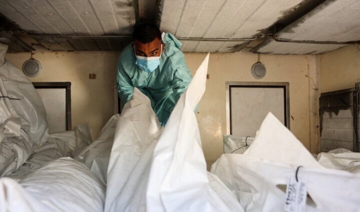 Human Rights Groups Demand Probe into Return of 150 Mutilated Palestinian Victims