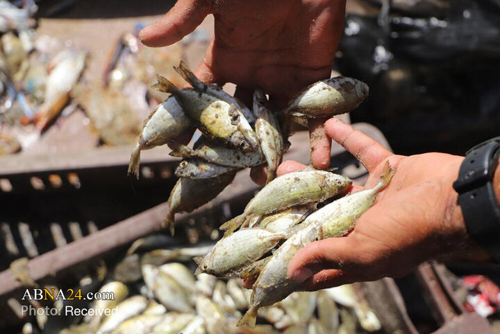 အပစ်အခတ်ရပ်စဲ ပြီးနောက် ဂါဇာဈေးများ ပြန်လည်အသက်ဝင်လာသည့် ပုံရိပ်များ  ။ ။ Photos