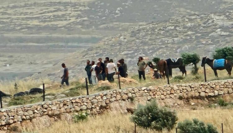 Israeli settlers attack Palestinian olive pickers near Nablus
