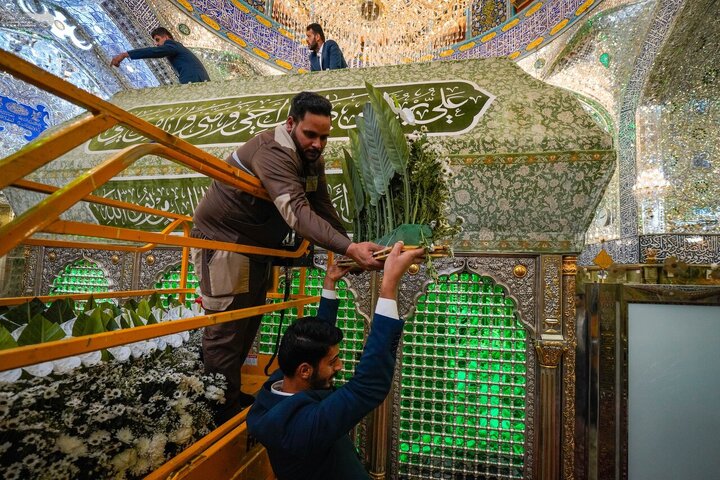 تصاویر | گل‌آرایی حرم و ضریح مطهر امام علی(ع) در آستانه میلاد فرخنده حضرت زینب(س)