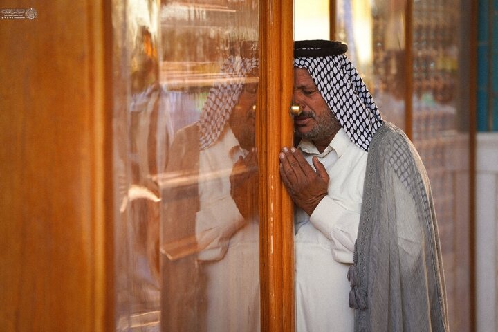 تصاویر | گل‌آرایی حرم و ضریح مطهر امام علی(ع) در آستانه میلاد فرخنده حضرت زینب(س)