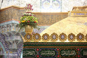 Informe fotográfico | Adornan con flores el santuario de la Señora Fátima Ma’suma (P) en el aniversario del nacimiento de la Señora Zaynab (P)