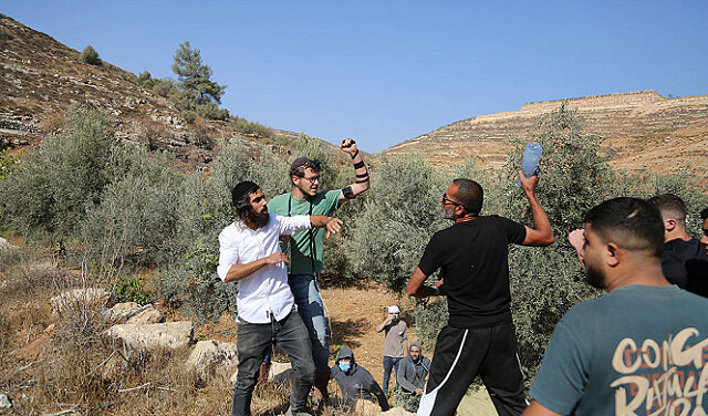 Palestinian farmers assaulted, lands seized under military protection