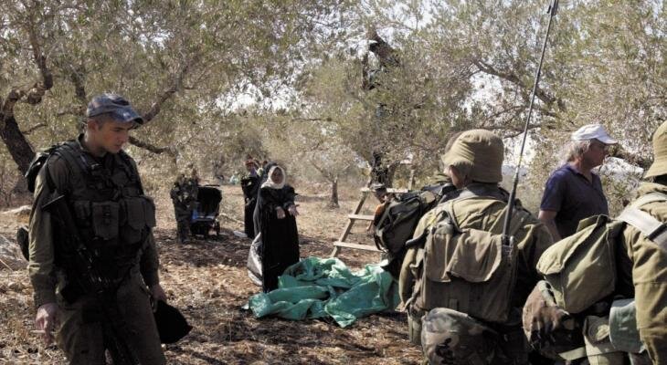 Israeli forces block Palestinian farmers from olive harvest in Sinjil