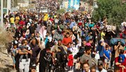 UN Committee urges global support for Palestinians’ right to self-determination, independent state