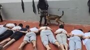 Israeli authorities carry out field executions of Palestinian detainees