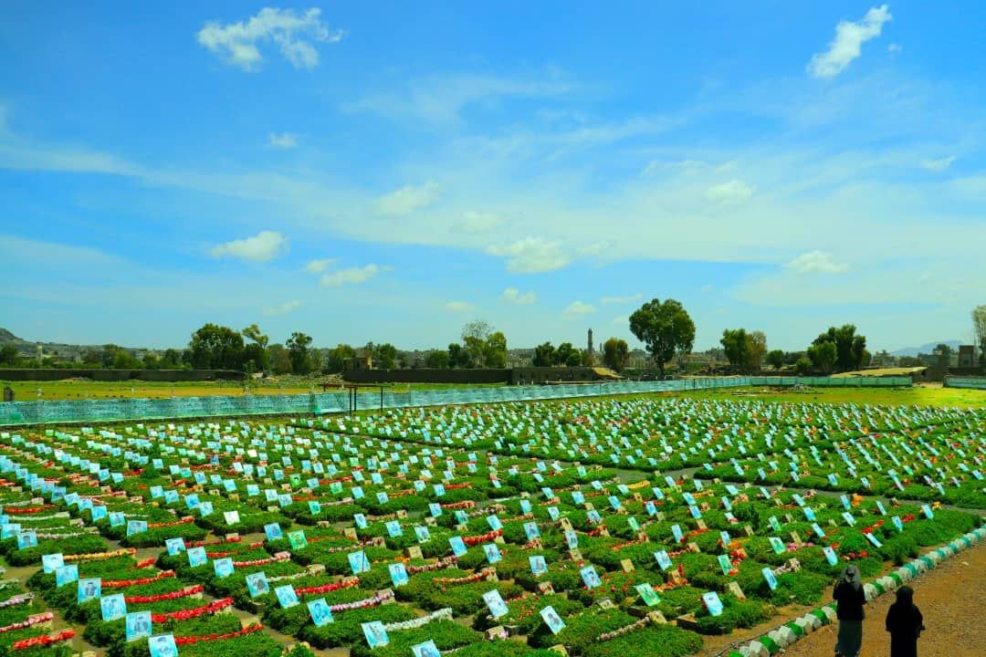 Culture of martyrdom: Its importance and impact