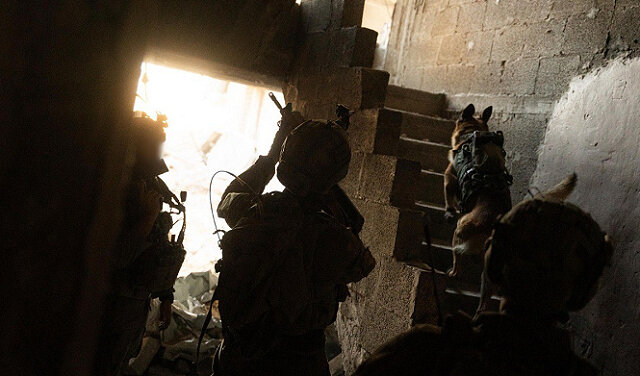 صحيفة عبرية تكشف عن انتحار ضابط كبير في جيش الاحتلال