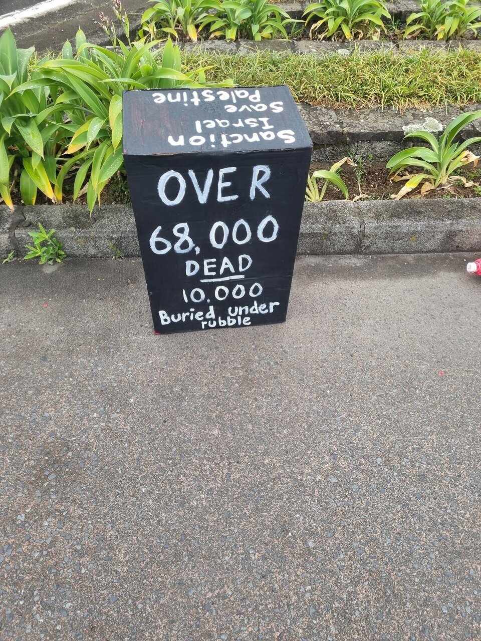 گردهمایی مردم نیوزیلند در حمایت از فلسطین + تصاویر