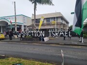 新西兰民众集会支持巴勒斯坦 + 图片