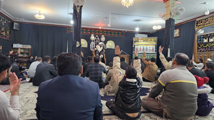 جامعہ ولایت