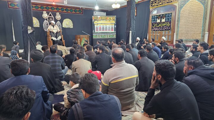 جامعہ ولایت