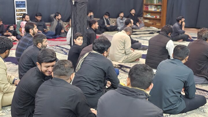 جامعہ ولایت