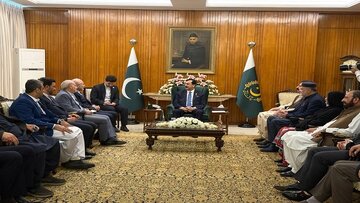 پاکستانی سینیٹ کے چیئرمین اور قائم مقام صدر یوسف رضا گیلانی کا ایران پاکستان تعاون کے فروغ پر زور