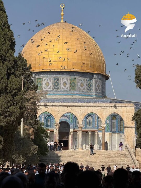 نماز جمعه مسجدالاقصی ۱۶ جمادی الاول ۱۴۴۷