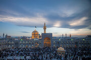Video: Indian scholars, doctors visits Imam Reza holy shrine