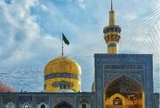 Video: Académicos y médicos indios visitan el santuario del Imam Reza (PB)