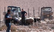Batı Şeria’da Şiddet Tırmanıyor: Foto Muhabirine Ağır Saldırı