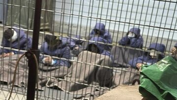 مقام سازمان ملل: شواهدی از شکنجه اسرای غزه وجود دارد/ اسرائیل از پاسخگویی مصون مانده است