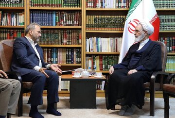 آیت الله اعرافی: هر اقدامی درباره مهاجرین باید با نگاه اخلاقی صورت گیرد