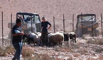 Musim Panen Zaitun Berubah Jadi Musim Teror di Tepi Barat