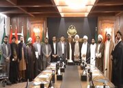 Punjab Minister Meets Delegation of Shia Scholars to Promote Peace and Unity