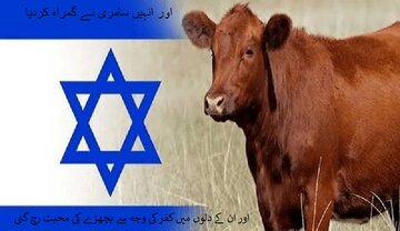 سامری تو چلے گئے، پر بچھڑے رہ گئے!