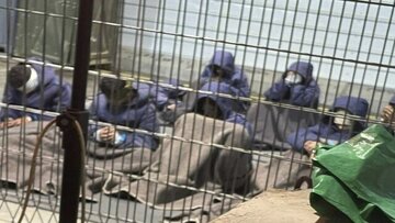 联合国官员：有证据表明加沙被拘留者遭受酷刑/以色列免于追责