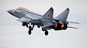 Лавров — о провокации с МиГ-31: Лондон сравним с вышедшим из-под душа гусём