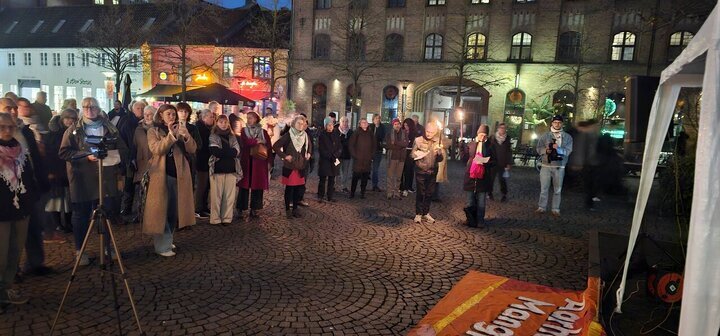 新闻图片 | 丹麦；支持巴勒斯坦集会谴责加沙种族灭绝