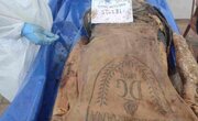Al-Shifa director: Organs stolen from mutilated bodies of Gaza martyrs