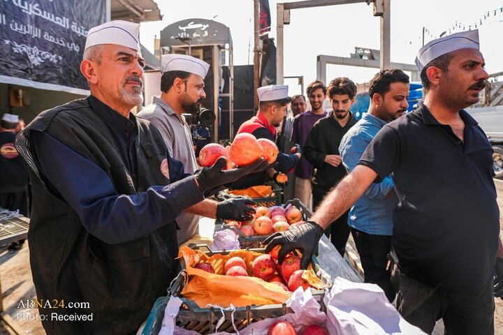سالگرد وفات فرزند امام کاظم ع