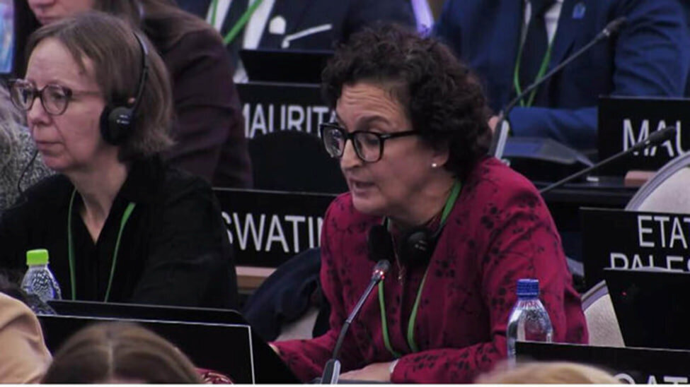 কিউবা: ফিলিস্তিনকে রক্ষা করা মানে মানবতাকে রক্ষা করা।