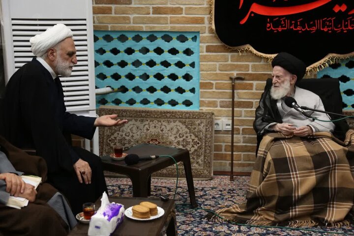 آیت‌الله شبیری زنجانی: فقاهت بدون فطانت برای قضاوت کافی نیست