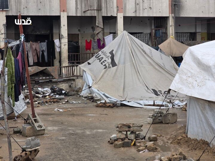 حیاة صعبة لنازحون يعيشون في خيام بالية ومهترئة بحي الشيخ رضوان في غزة
