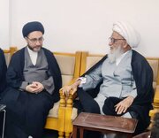 نجف اشرف میں حجۃ الاسلام والسملین جناب شہنشاہ نقۡوی صاحب نے آیت اللہ العظمیٰ حافظ شیخ بشیر حسین نجفی سے ملاقات کی