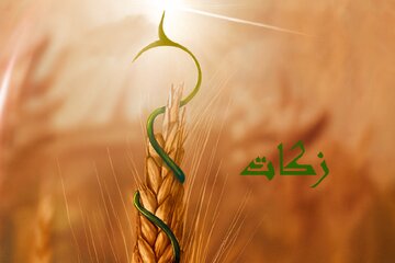 زکات؛ راهی برای نجات جامعه از فقر و تبعیض