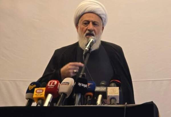 Lebanese Shiite Council Urges Unity Against Israeli Aggression
