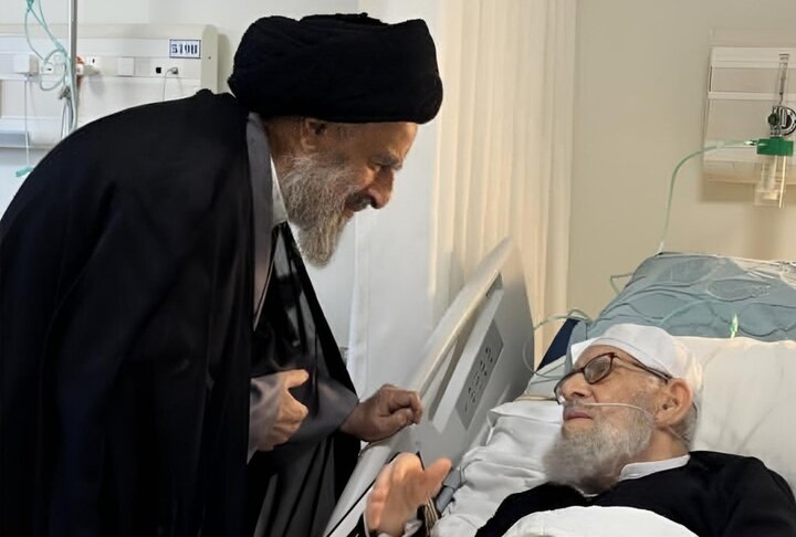 عکس خبری | عیادت آیت‌الله سید محمدتقی مدرسی از آیت‌الله سید مرتضی قزوینی