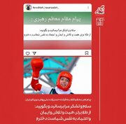 Sa Mensaheng Pasasalamat ng Lider ng Islamikong Rebolusyon kay Fereshteh Hasanzadeh, Atleta ng Muay Thai