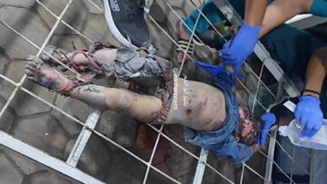 Exército israelense intensifica bombardeios em Gaza após um dia de massacres