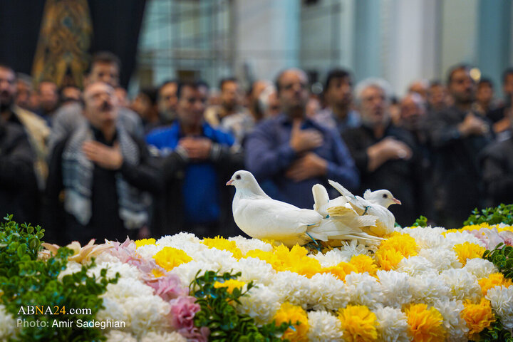 Informe fotográfico |Ceremonia de la procesión de laleh en el Santuario de Shah Cheragh en la víspera del martirio de la Excelencia Fátima al-Zahra (la paz sea con ella)