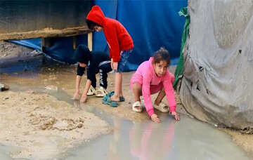 গৃহহীন ফিলিস্তিনিদের নতুন দুর্ভোগ।