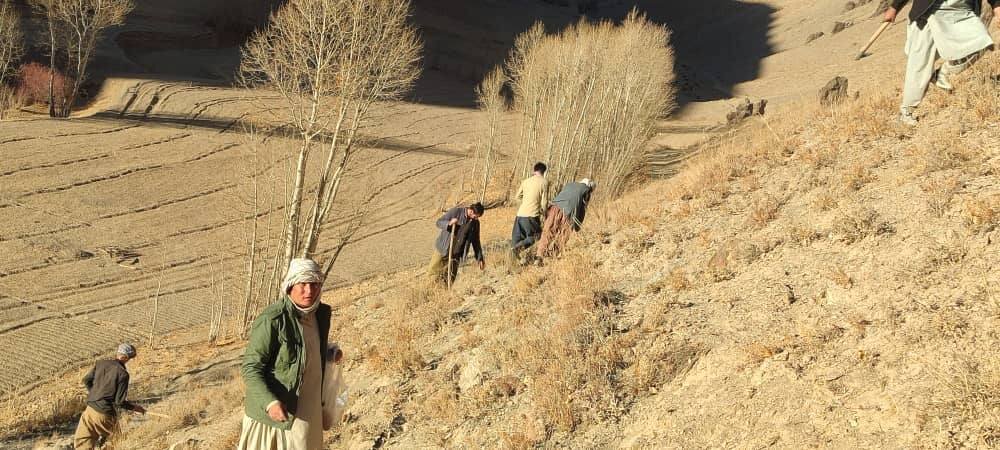 خلاقیت جوانان شیعه دایکندی افغانستان برای داشتن آینده سبز و مبارزه با بحران اقلیمی