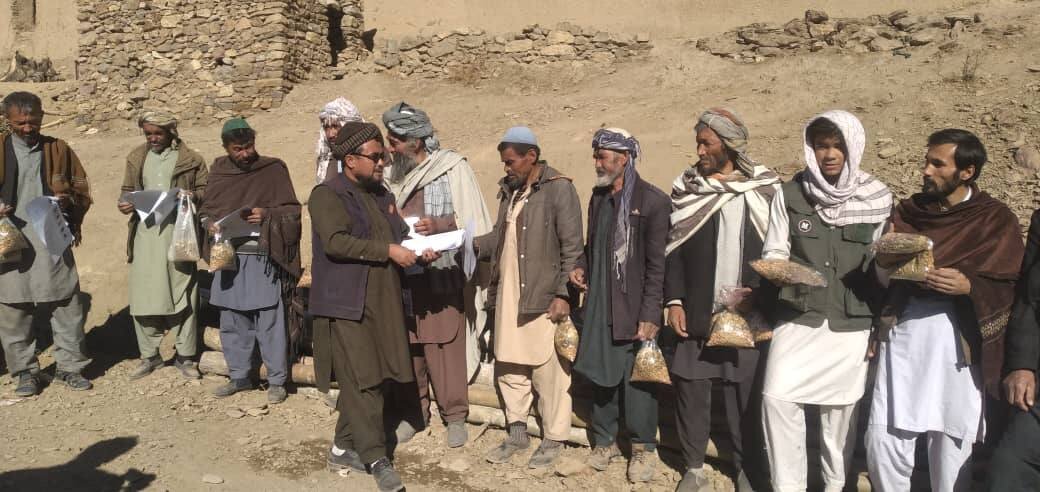 خلاقیت جوانان شیعه دایکندی افغانستان برای داشتن آینده سبز و مبارزه با بحران اقلیمی