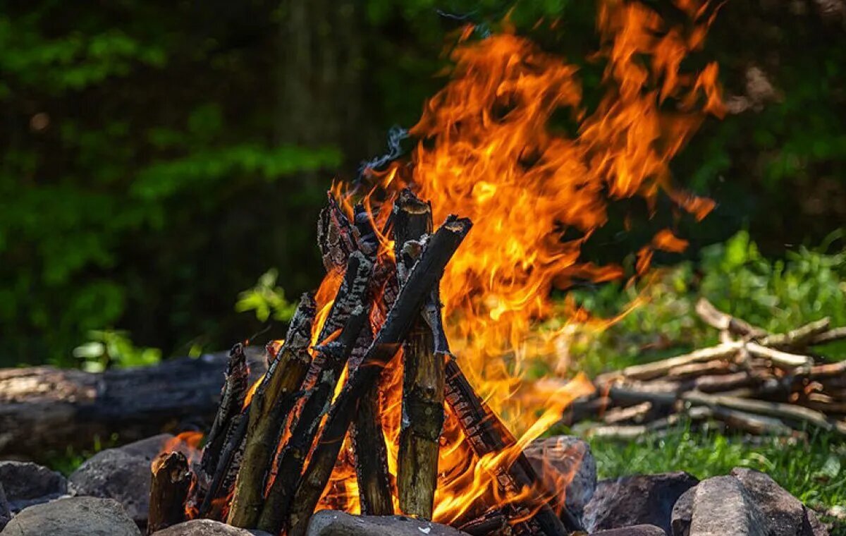 Dîroka Diyaloga Îmam Elî (s.x) bi Mîrekî Fileh re